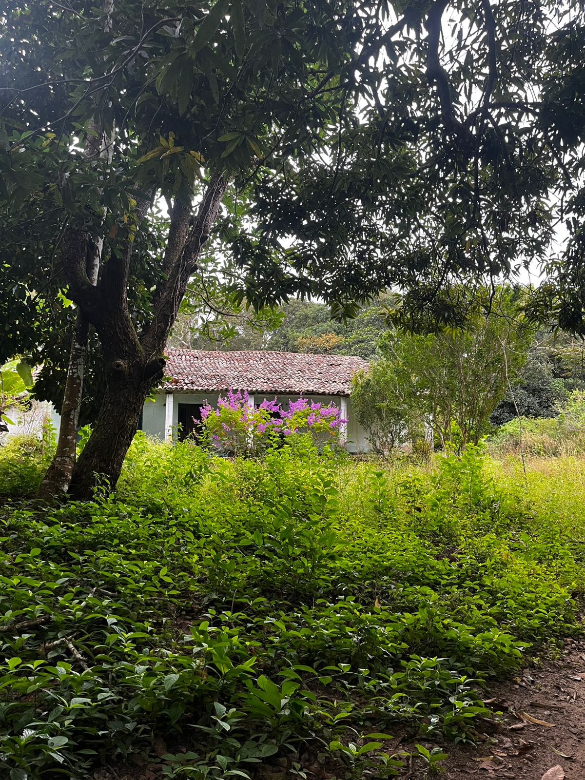 Vista do Parque Sete Cidades